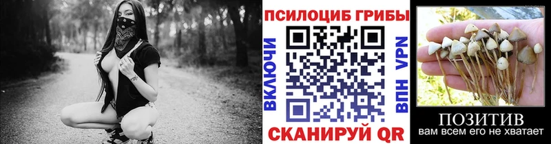 Купить  Карабулак  Галлюциногенные грибы прущие грибы 